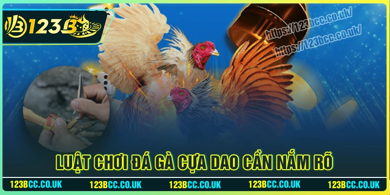 Luật chơi Đá Gà Cựa Dao 123B dễ hiểu cần nắm rõ