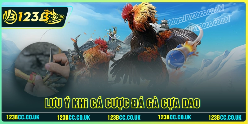 Lưu ý khi cá cược Đá Gà Cựa Dao không thể bỏ qua
